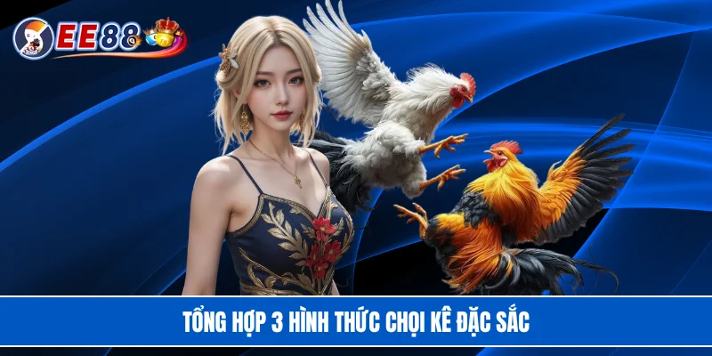 Tổng hợp 3 hình thức chọi kê đặc sắc